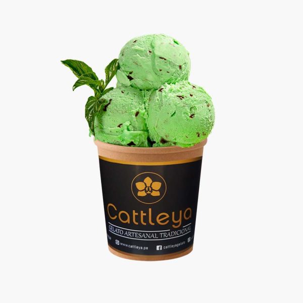 Gelato Menta Granizada